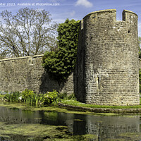Buy canvas prints of The Bishops Palace and Gardens Wells Somerset by Andy Salter
