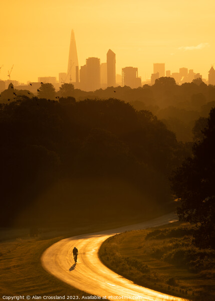 London and a Cyclist at Golden Hour Picture Board by Alan Crossland
