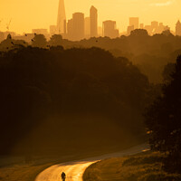 Buy canvas prints of London and a Cyclist at Golden Hour by Alan Crossland