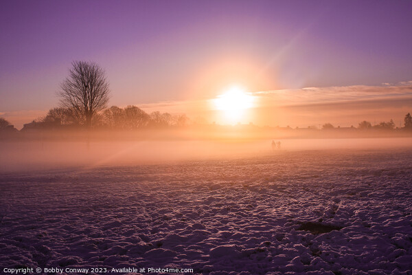 Winter sunrise in East London Picture Board by Bobby Conway