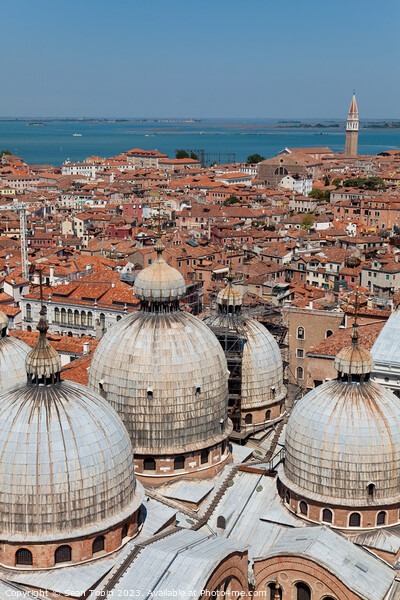 A view of Venice, Italy, from the Campanile Picture Board by Sean Tobin