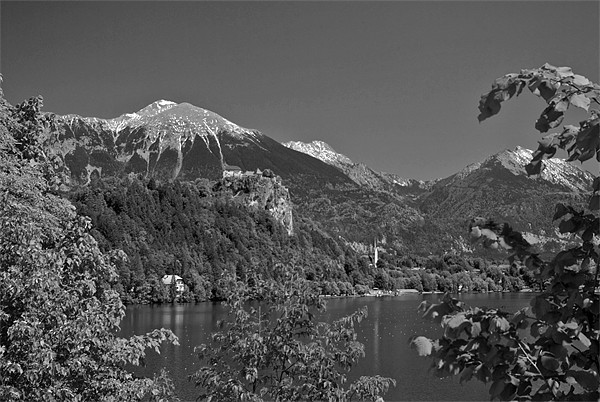 Lake Bled Picture Board by Alan Pickersgill