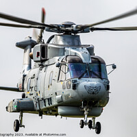 Buy canvas prints of royal navy tiger nose merlin by KRJ Photography