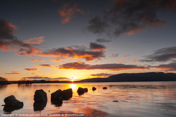 Loch Lomond at sunset Picture Board by Andrew percival