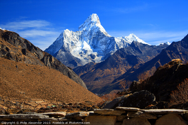 Ama Dablam from Khumjung, Nepal Picture Board by Philip Alexander