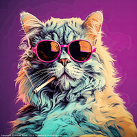 Buy canvas prints of Cool Cat by Harold Ninek