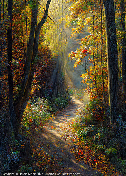 Autumn Woodland II Picture Board by Harold Ninek