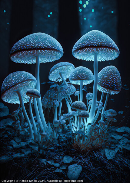 Radiant Fungi I Picture Board by Harold Ninek