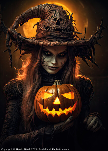 Halloween Witch Picture Board by Harold Ninek