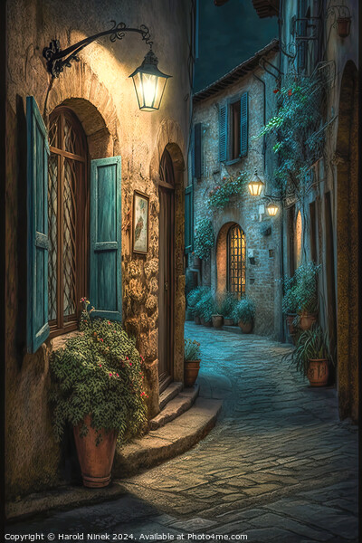 Tuscan Village at Twilight Picture Board by Harold Ninek