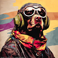Buy canvas prints of Dogfighter by Harold Ninek