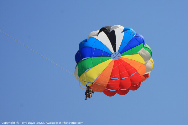 Parachute on a clear blue sky Picture Board by Tony Davis