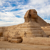 Buy canvas prints of Great Sphinx of Giza by Tony Davis