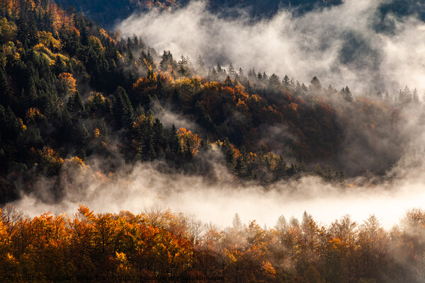 This is what autumn feels like in Slovenia Picture Board by Suppakij Vorasriherun