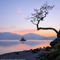 Buy canvas prints of Dawn on Derwentwater Lake District by Fred Bell