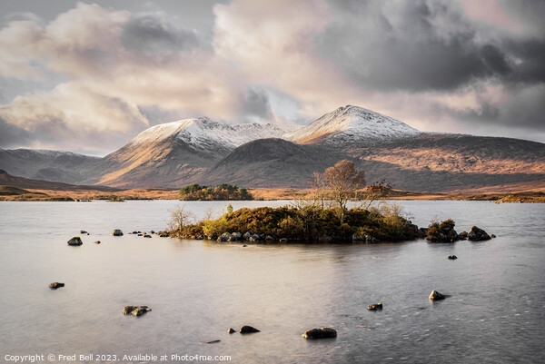Rannoch Moor Scotland Picture Board by Fred Bell