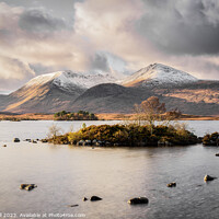 Buy canvas prints of Rannoch Moor Scotland by Fred Bell