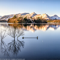 Buy canvas prints of Derwentwater Morning Light by Fred Bell