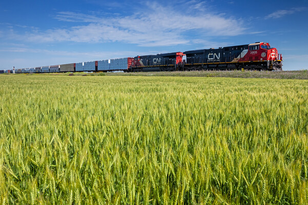 locomotives pulling general freight pass a spring wheat field Picture Board by Dave Reede