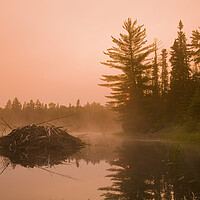 Buy canvas prints of Beaver Lodge by Dave Reede