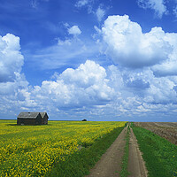 Buy canvas prints of road through farmland by Dave Reede