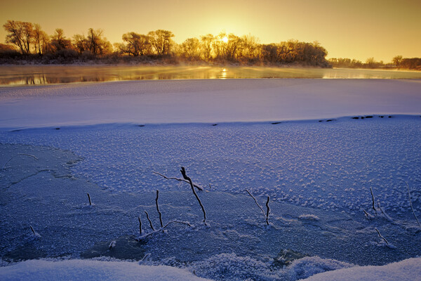 winter along the Red River Picture Board by Dave Reede