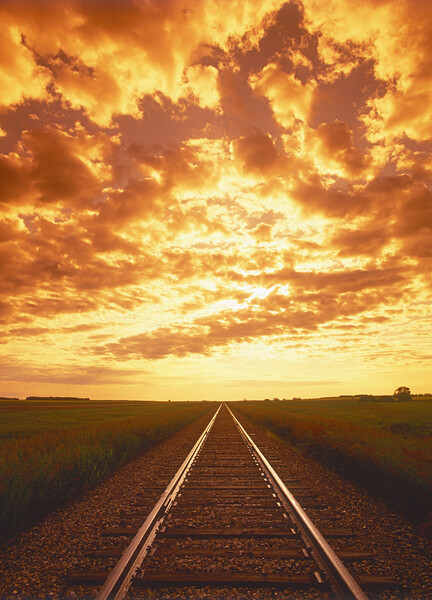 Sunrise Over Railway Picture Board by Dave Reede