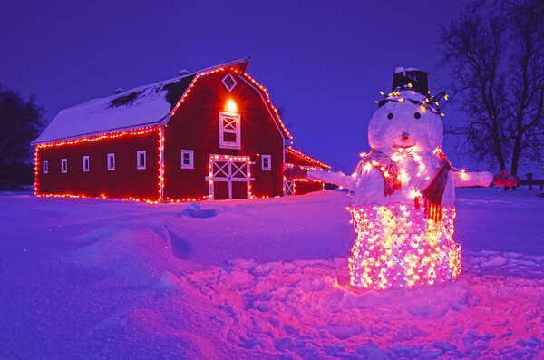 snowman in Front of Red barn Picture Board by Dave Reede