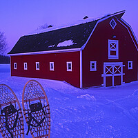 Buy canvas prints of Snowshoes in Front of red barn by Dave Reede
