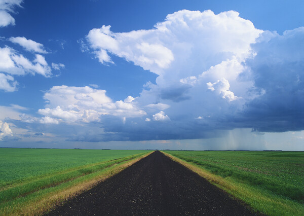 road through farmland with cumulonimbus cloud mass in the background Picture Board by Dave Reede