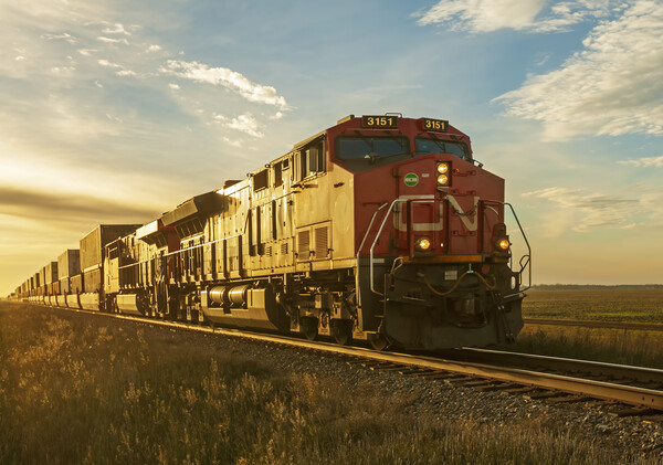 locomotives pulling shipping containers Picture Board by Dave Reede