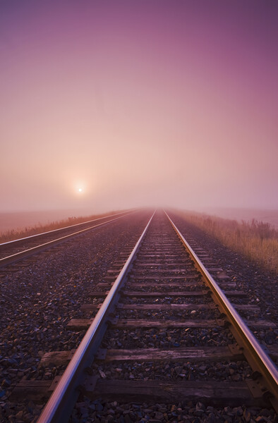 railway in the mist Picture Board by Dave Reede