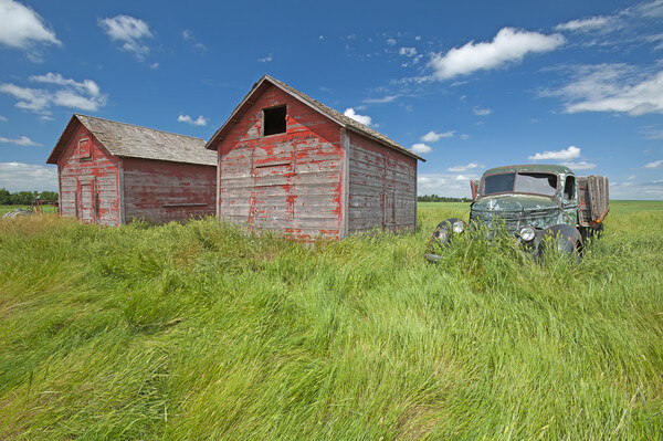 old farm truck beside grain bins Picture Board by Dave Reede