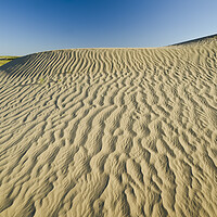 Buy canvas prints of the Great Sandhills by Dave Reede