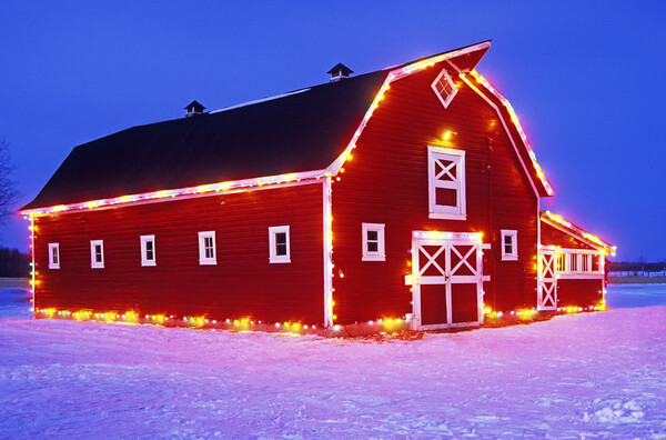 red barn with Christmas lights  Picture Board by Dave Reede