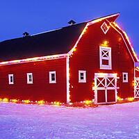 Buy canvas prints of red barn with Christmas lights  by Dave Reede