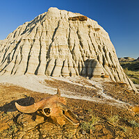 Buy canvas prints of Relic in the Badlands by Dave Reede