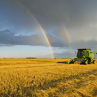 Buy canvas prints of Evening Harvest by Dave Reede