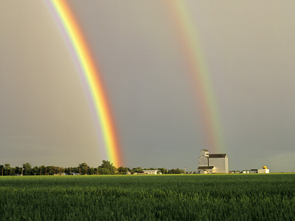 Rainbow Over Grain Elevator Picture Board by Dave Reede