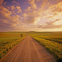 Buy canvas prints of Never Ending Country Road by Dave Reede