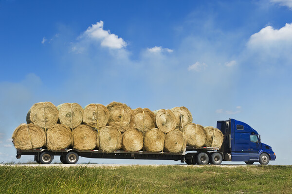 Trucking the Bales Picture Board by Dave Reede