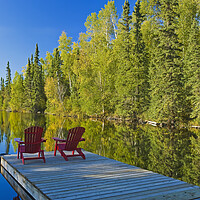 Buy canvas prints of Relaxing On the Dock by Dave Reede