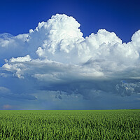 Buy canvas prints of Cumulonimbus Build Up by Dave Reede
