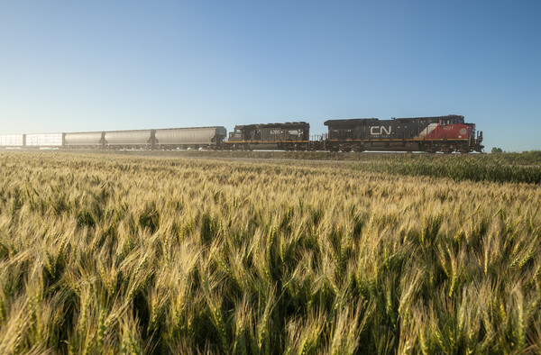 Train Passing a Wheat Field Picture Board by Dave Reede