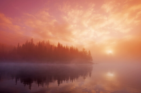 Sunrise Over Misty Lake  Picture Board by Dave Reede