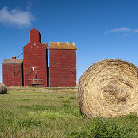 Buy canvas prints of field with round hay bales and old grain elevator by Dave Reede