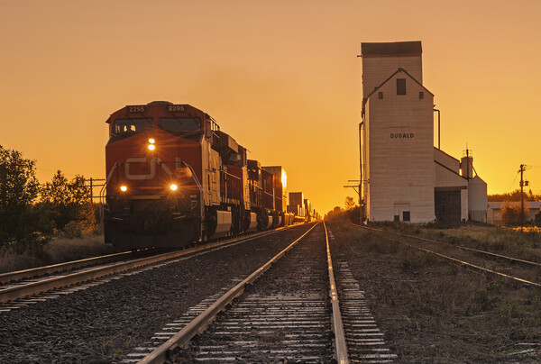 train pulling shipping containers passes a grain elevator Picture Board by Dave Reede