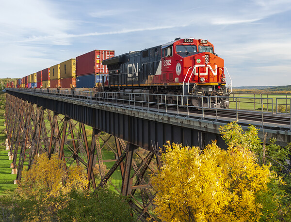 rail cars carrying containers on the Uno trestle Picture Board by Dave Reede