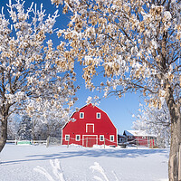 Buy canvas prints of Red Barn During Winter by Dave Reede