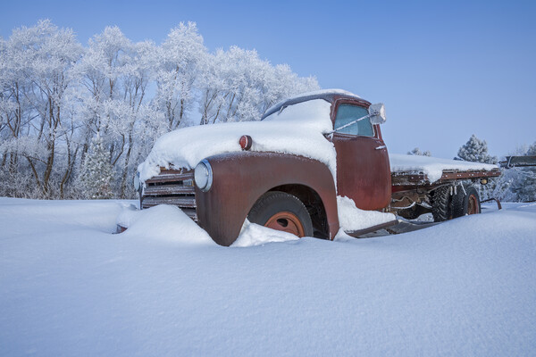 old truck on a day of hoarfrost Picture Board by Dave Reede
